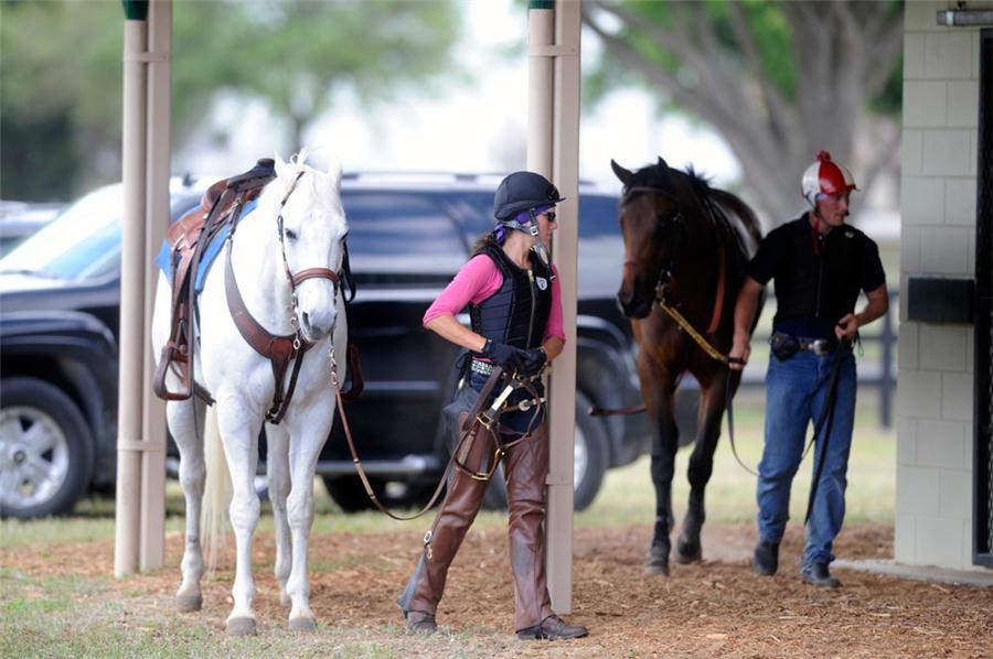 Top breeze show performers