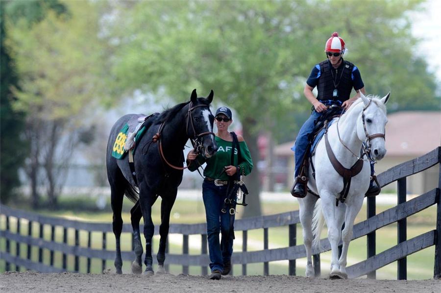 Top two year old consignors