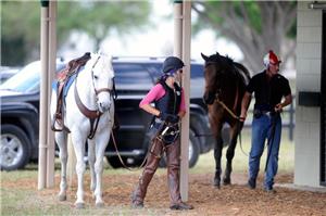 Top breeze show performers