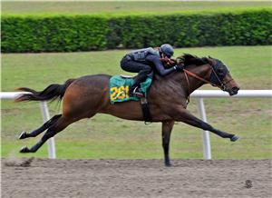Milestone Miss 2010 breeze