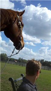 Ocala breeze up consignors
