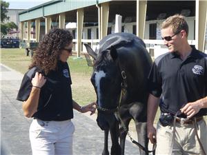 Quality juvenile consignors