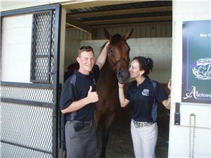 Successful Thoroughbred Investing