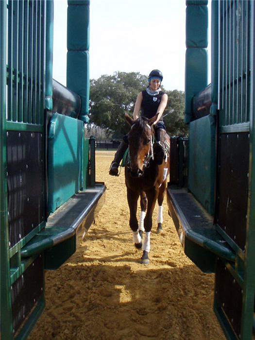 Two year old trainers