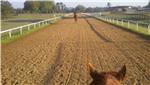 Ocala training tracks