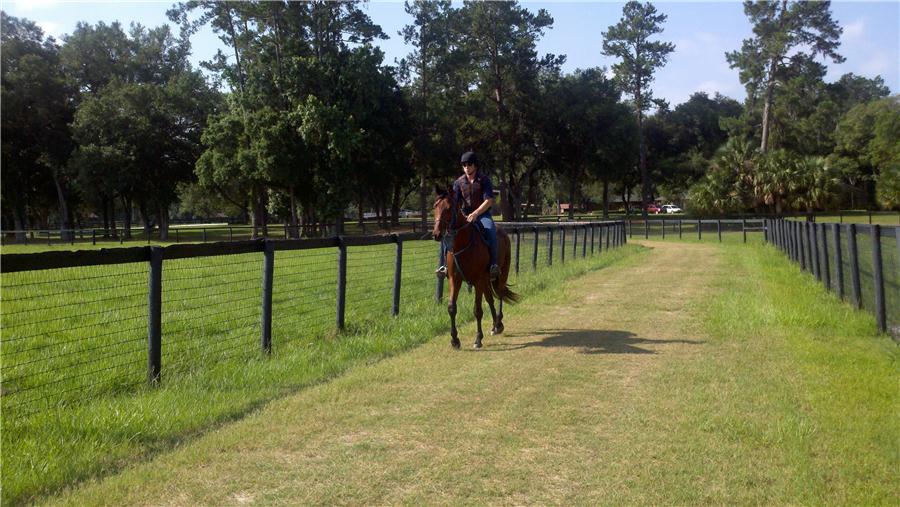 Two year old training facilities