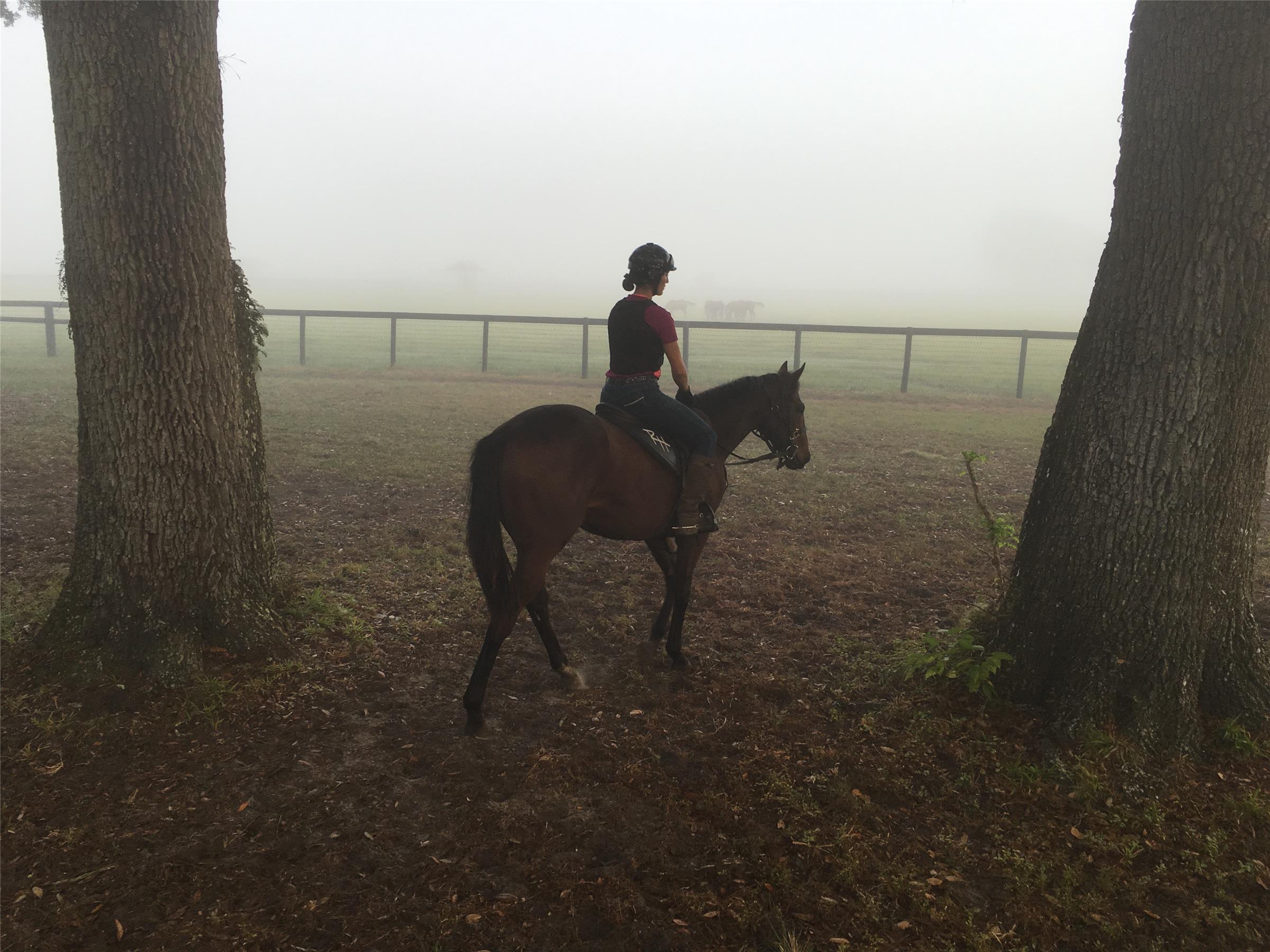 Riding at RiceHorse