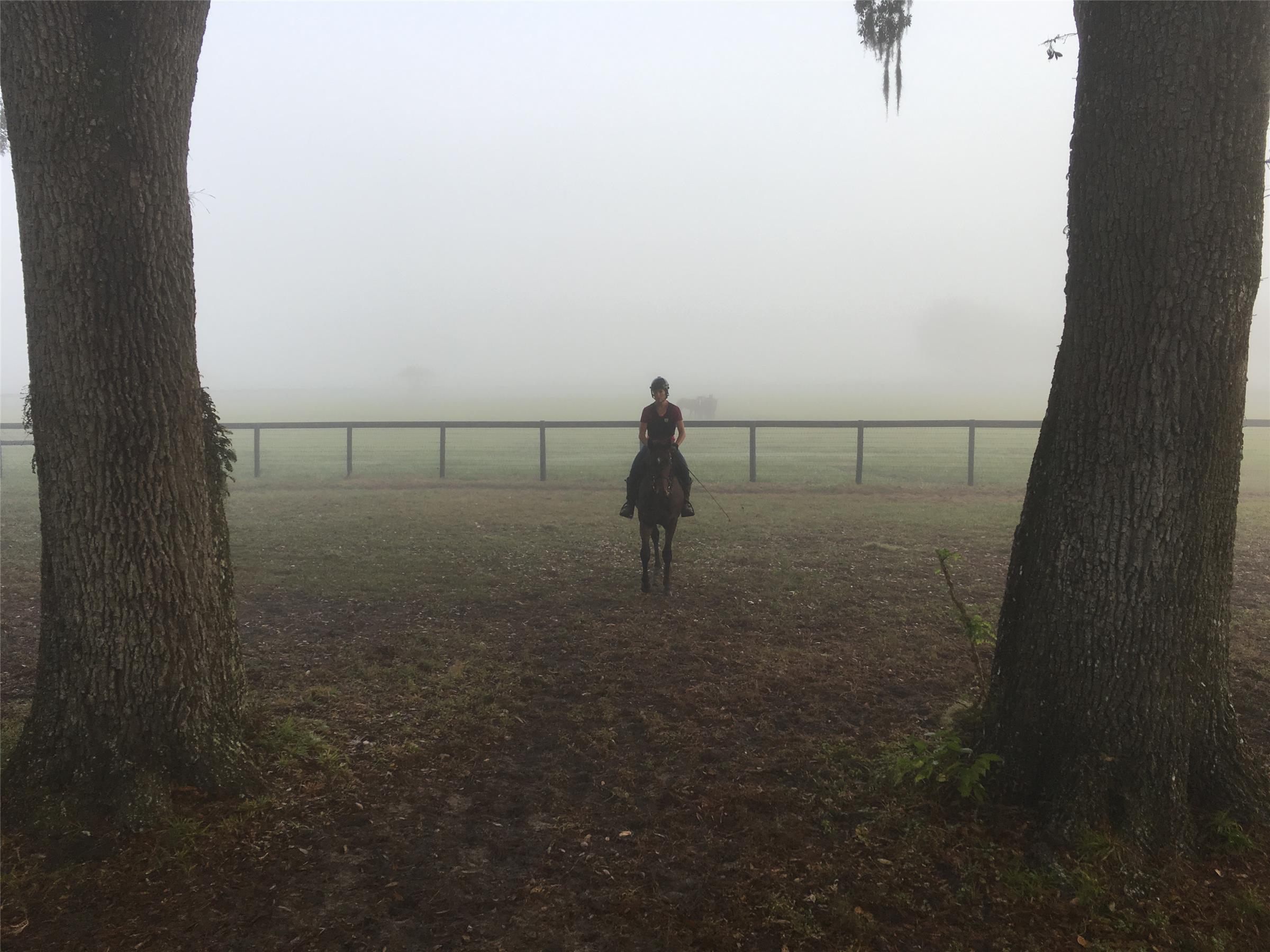 Riding at RiceHorse