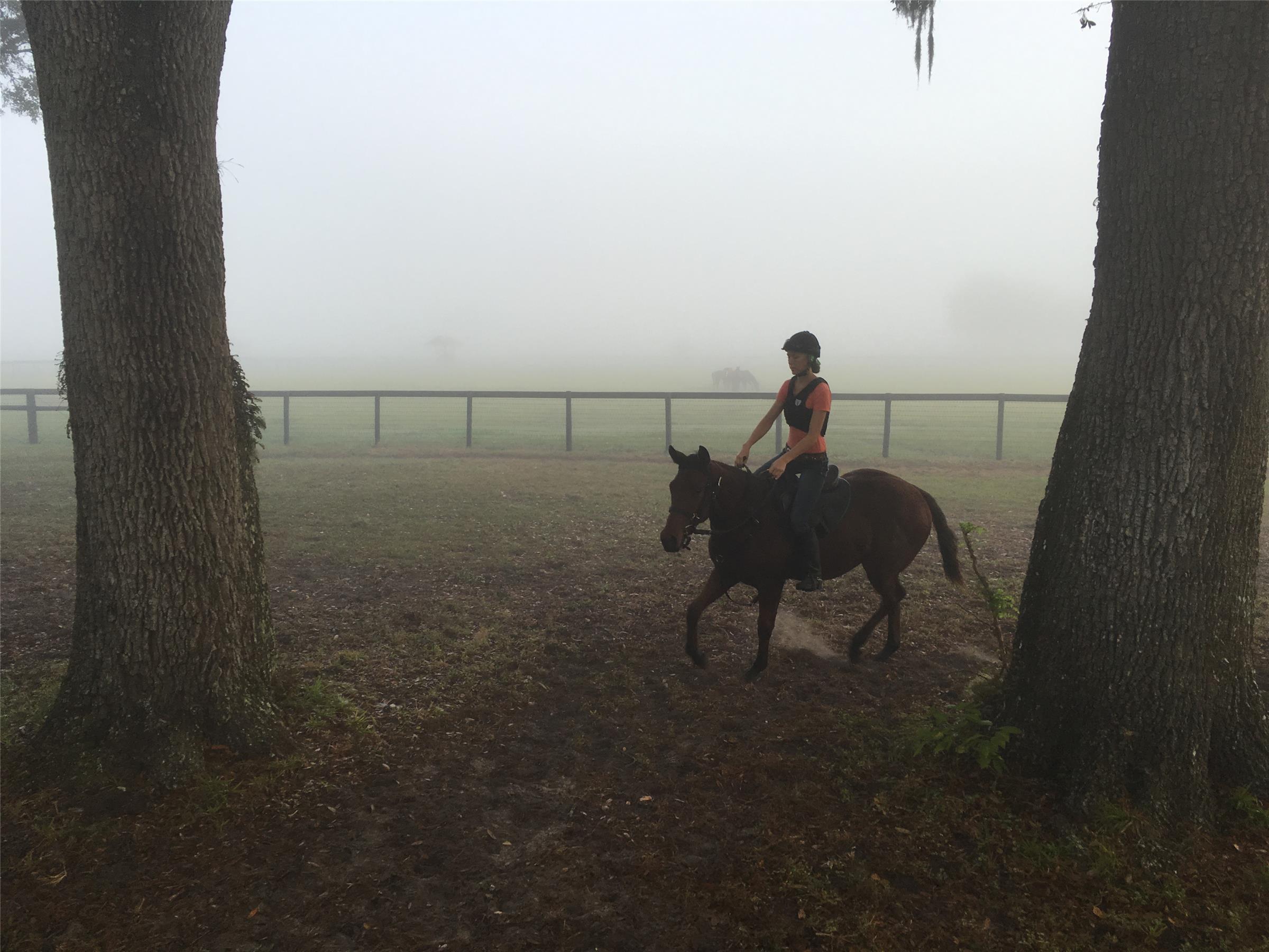 Riding at RiceHorse