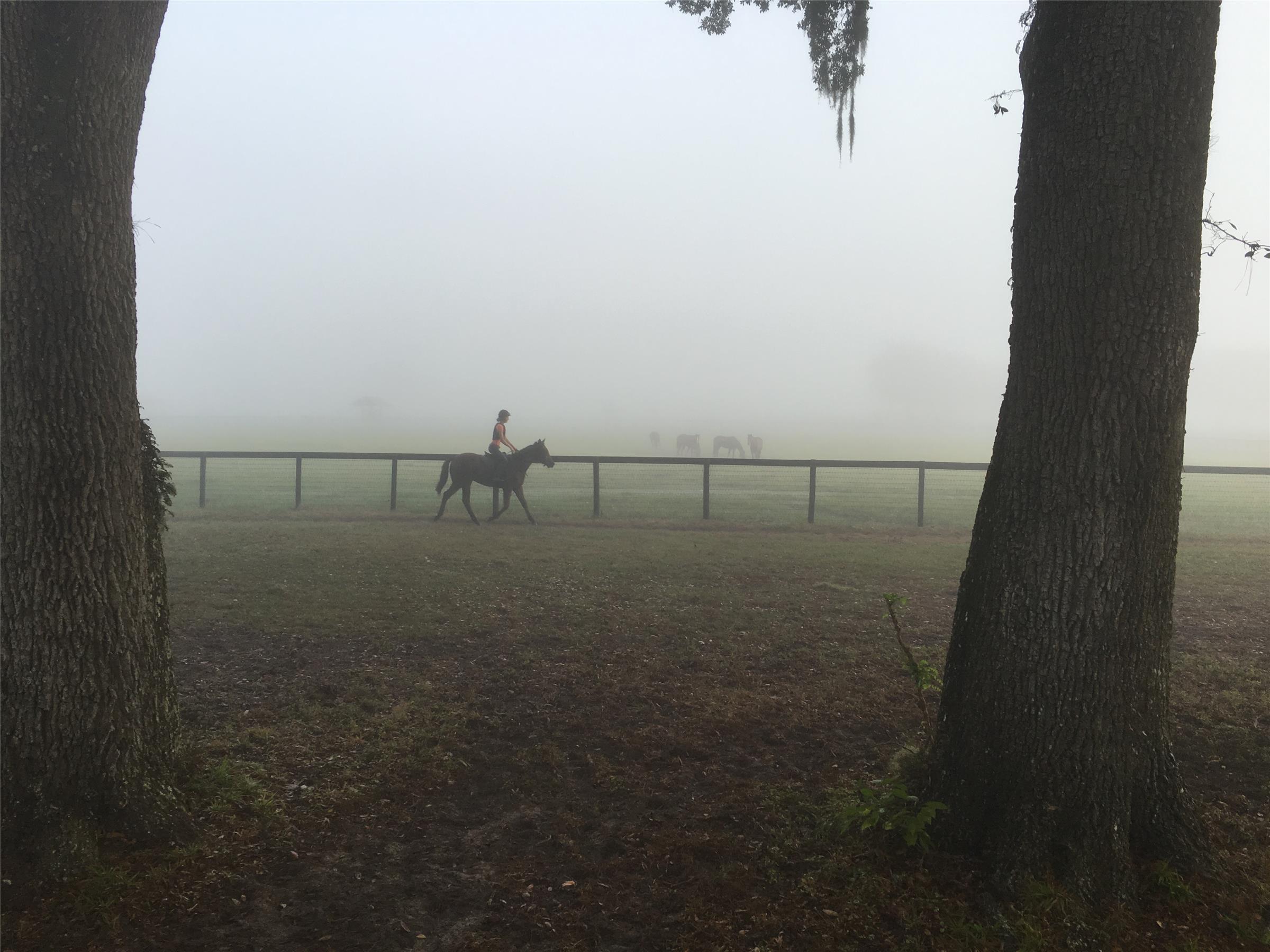 Riding at RiceHorse